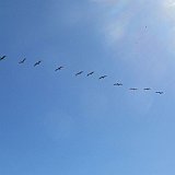 Costa Rica20150401-2230-0228